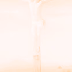 XXVII