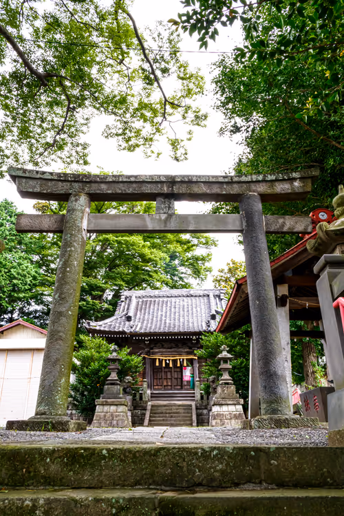 Item #71165997854143450093372358757960361854753460918996014251035869143531677286401 Media