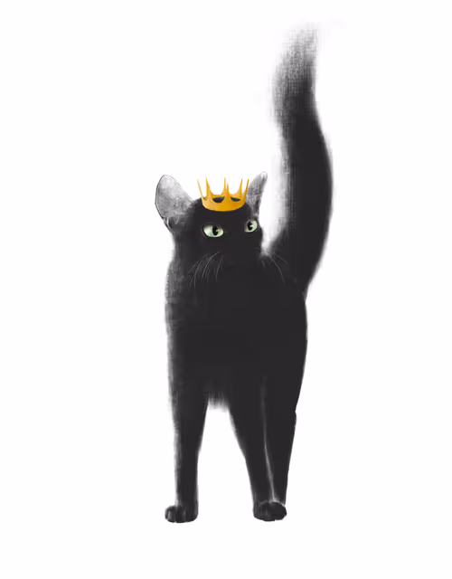 Item #24618594739772325081071012251968077253983773594612099830659053255764475904003 Media