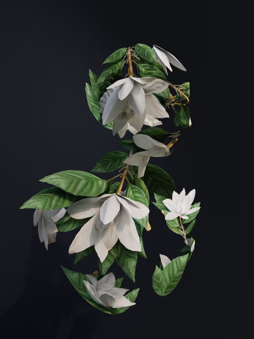 Item #56019445444120792924177453263118069429954292820945191354534825993432134057985 Media