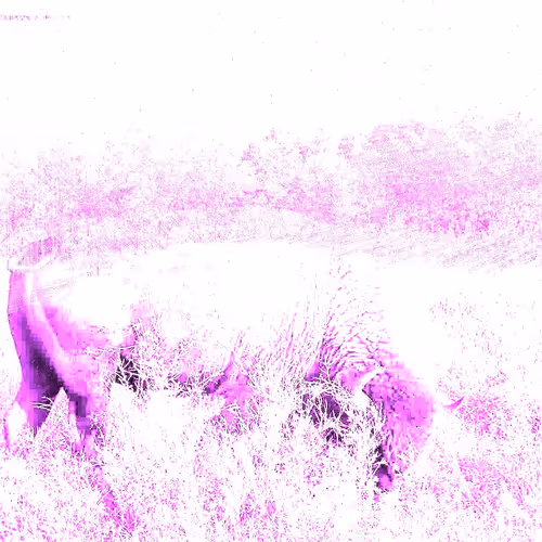 105089968166921690156624725616502706642431777719922472152070405814021756289025