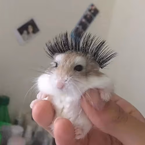 7777