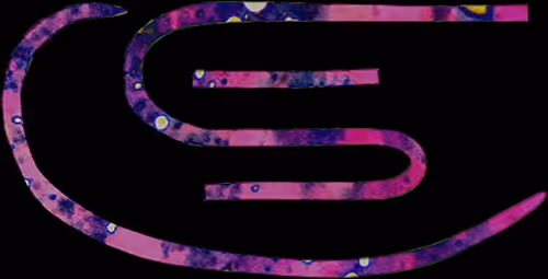 Item #25134024236616184979521667367921431367203659848766423059433089141540932027368 Media