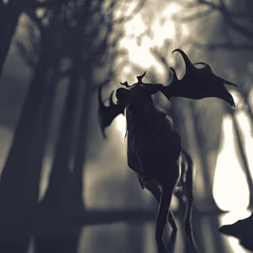 Reveries Solitary Walker