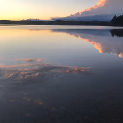 Reflections at Lac Lesage, 2020
