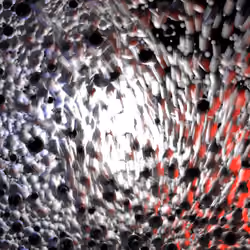 The God Particles (Ultra High Res)