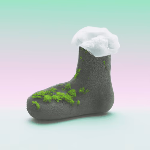 Sock 29