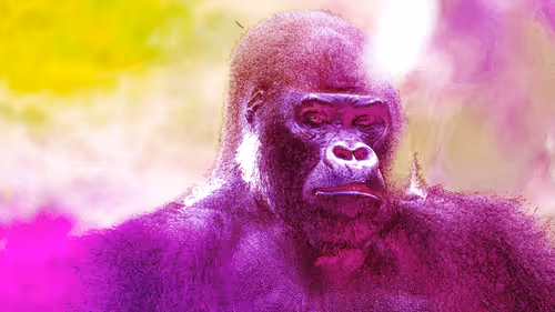 Item #44700177556079130579027571864789921161109844202338692374214745844774080610319 Media