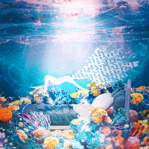 Item #53010446080174274945979665358285553867030313799277838715159623080365061570561 Media