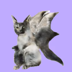 Catmares #22/24 - Valefell