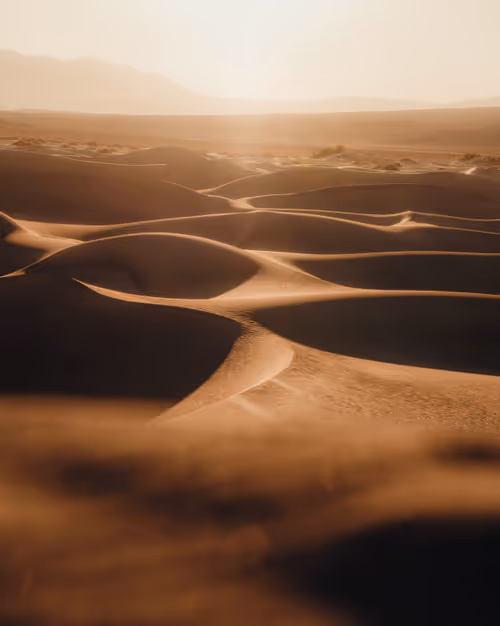 Item #4015407752300364533452678747912321307133041258187258919128982377775964880897 Media