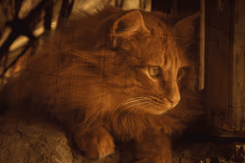 Item #1448819722811812157553440872911488319417736624981688873626406816668486467585 Media