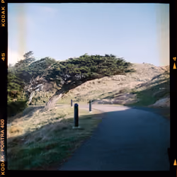 point reyes path
