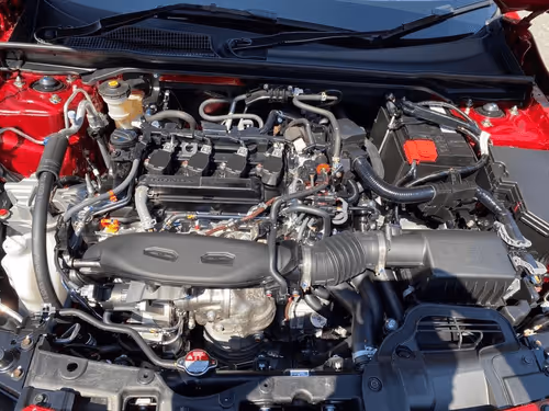 Holdddddd Collection