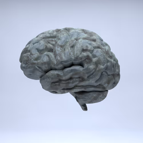 Item #77412820926303725204956055566925211190020908428863033075197849111568886792193 Media