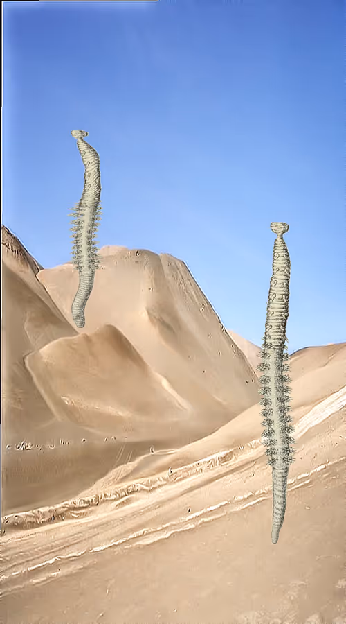 Item #91754164606506966575596469571565985485613429950187136926502423081508667392001 Media