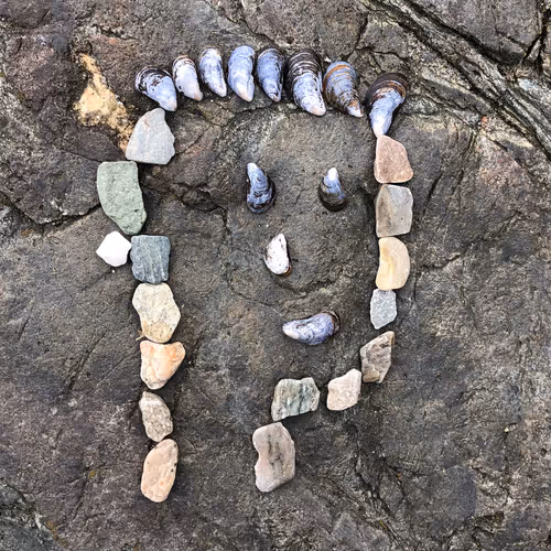 98107617753721193587173935520703534334244090805083319737588344771093093941249