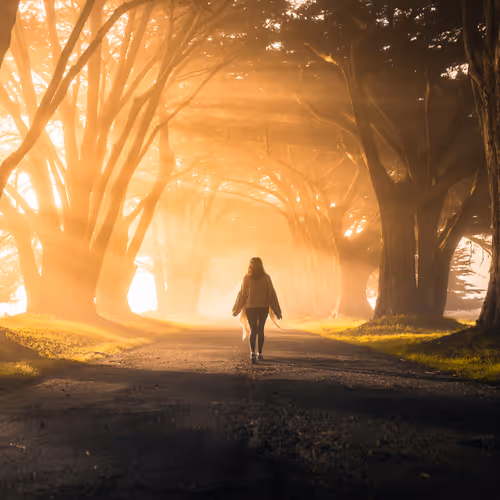 Golden Light #9