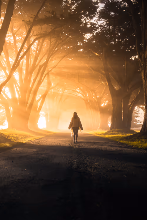 Item #28249669150142615207579555762608265536132247185199409993543532435476041433089 Media