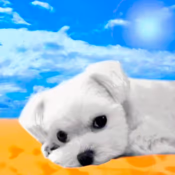 Item #21477548388787063266658748687199700189937005018840532589754440333745738219521 Media