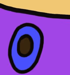 budouchan Collection