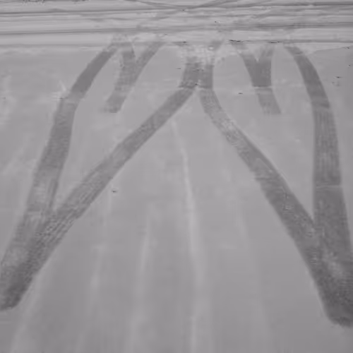 Budlee553 Collection