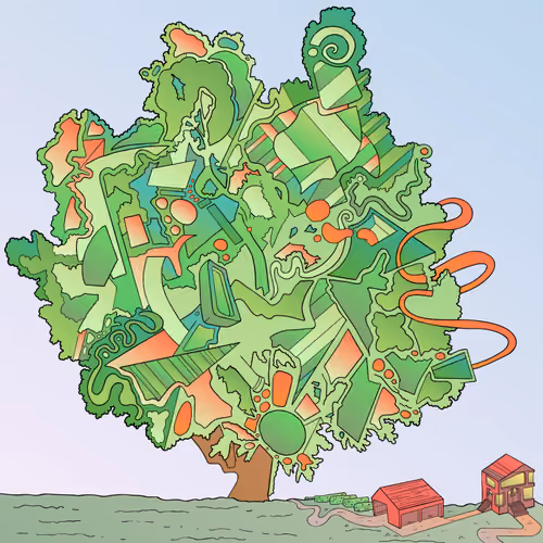 Big Tree 