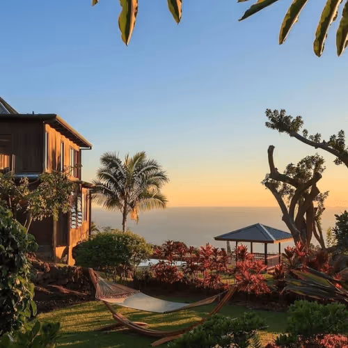 sumit3544 Collection