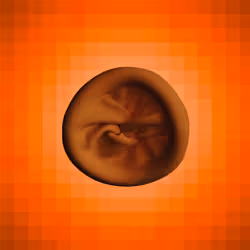 112443806312787433902540167291229144376569237612293574157816900108225009942529