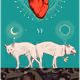 18972443340784527284651562653109817539275126856641410541209744950146562523137