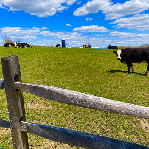 11055945869368344522239947544098935470114969223831551671463462825398217211907