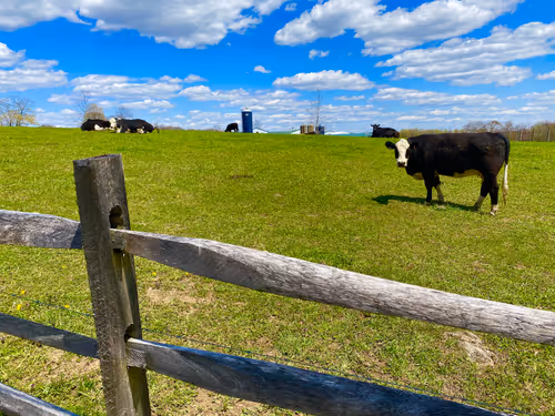 Item #11055945869368344522239947544098935470114969223831551671463462825398217211907 Media