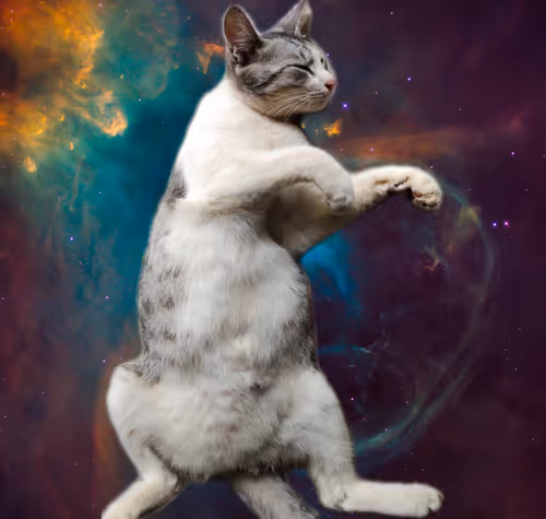 Item #20235247062324121632957178510753137920740954472234282371676398443218134368257 Media