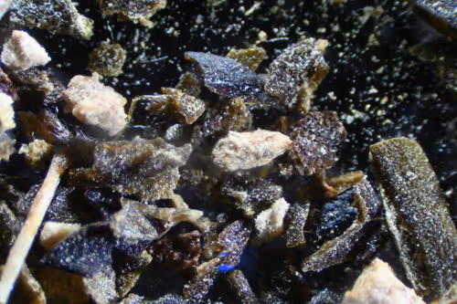 Item #83492542219966292281678492459995273614130213244614101144777663943256496406529 Media