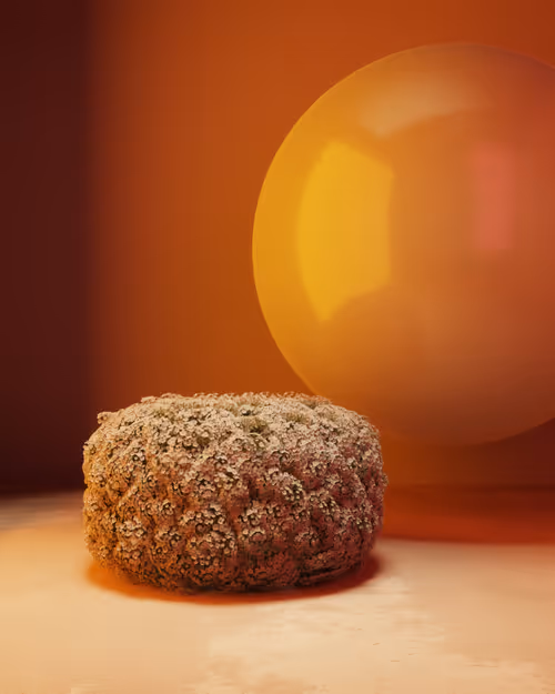 Item #18318711942719305237616979652728276942577750643741427204232543832886799761409 Media