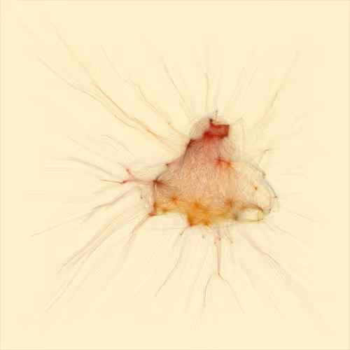 74011109513159304894558377152860080667648997857135590135513699168154852261889