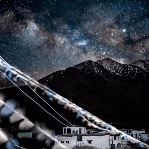 Himalayan Stars