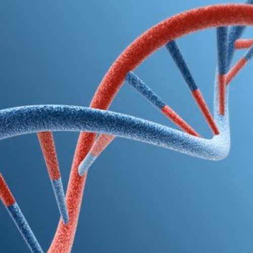 Untitled Collection #208298371