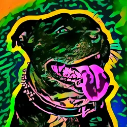 50830097462543580601473563981388698009005024090223633461481089601834925948929