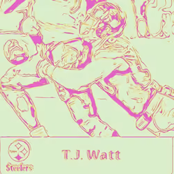 T.J. Watt #12