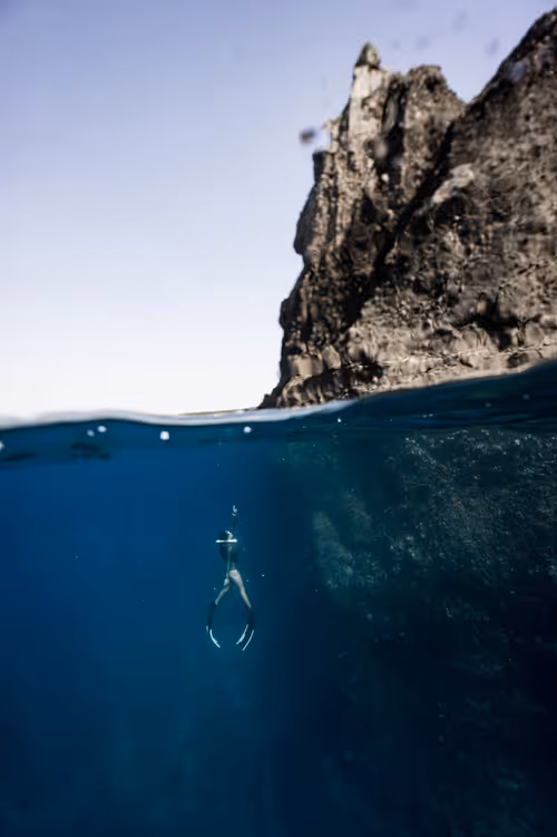 Item #75775185799272849085271004632709043340311400921657001030137476902852233265153 Media