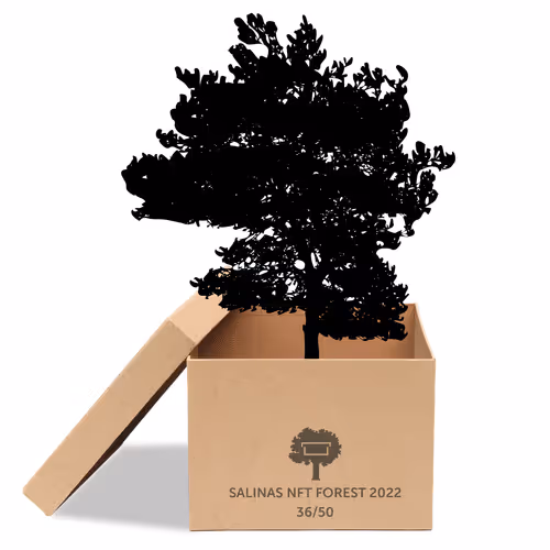 Item #63532776318757439562276927313719991273687356279339277108967620966228256882689 Media