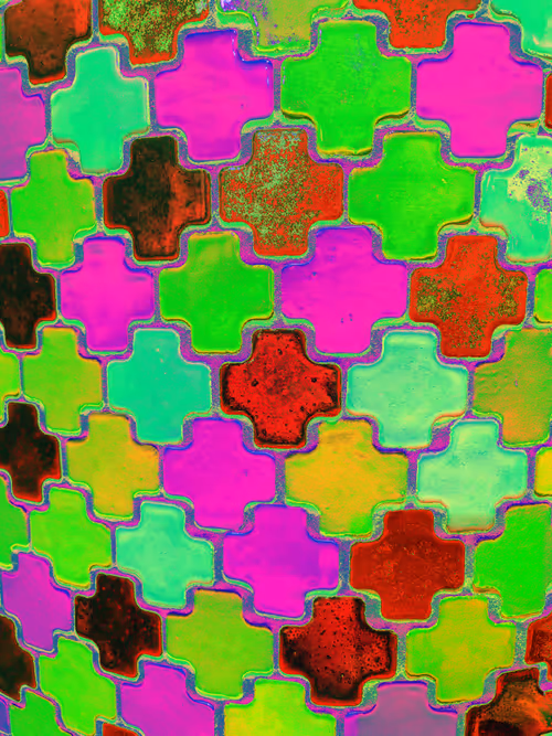 Item #110989330100556245645671416955261820038772575588316729466901671030734257651713 Media