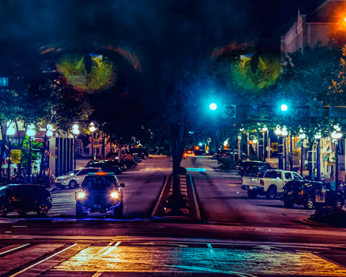 Ant's Creative Works