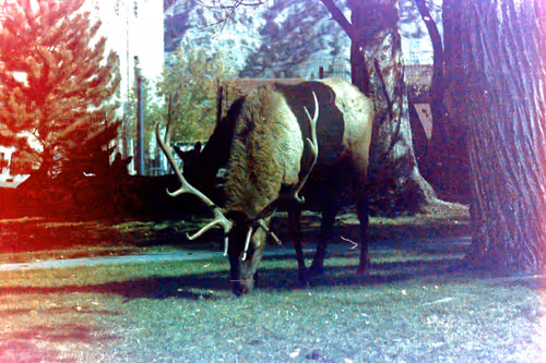 Item #102681073820549918018156706383720612658195698549287552323172903091748768579585 Media