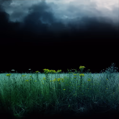 Item #9224774212819895125151329227558105848746737413000858823627967950790028427265 Media