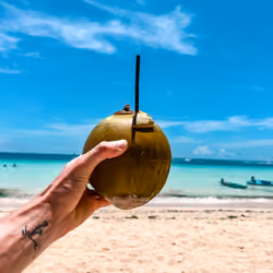 coconut at the beach