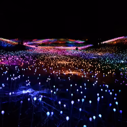Field of Light #2