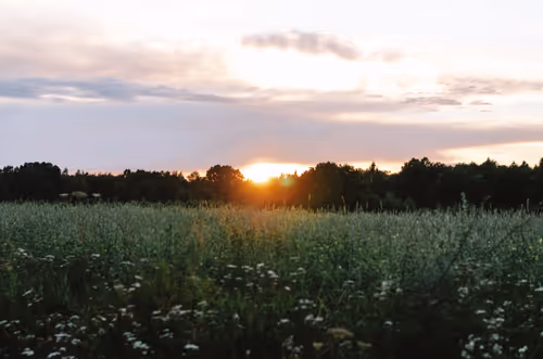 Item #89749655781633695214918973850275472722969414754438239918620403790832941924353 Media