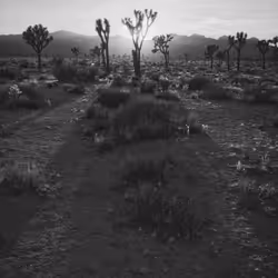A Lonely, Breathtaking Experience